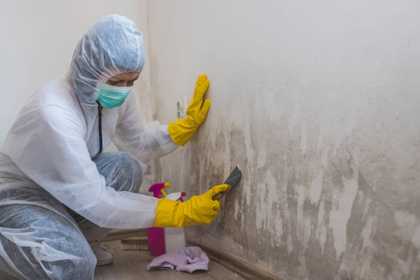 Mold Removal for HVAC Installations in East Norwich, NY