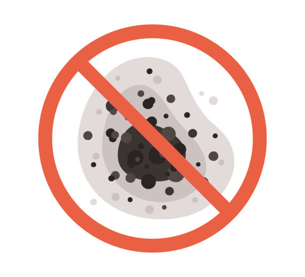 Best Commercial Mold Inspection  in East Norwich, NY