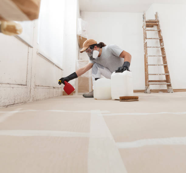 Trusted East Norwich, NY Mold Removal Experts